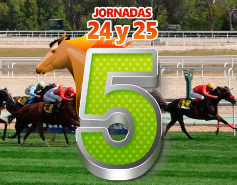 Jornada 24 y 25 Quintuple Plus