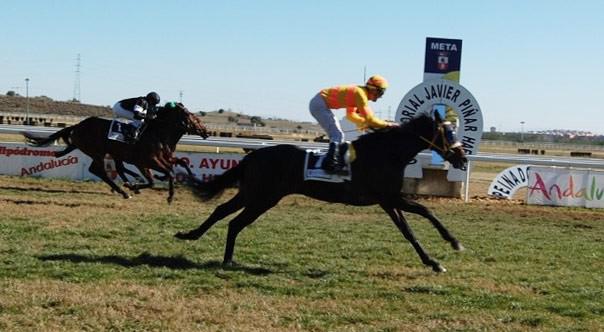 Carreras en Hipódromo de Dos Hermanas