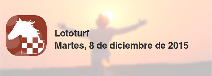 Lototurf del martes, 8 de diciembre de 2015