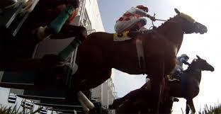 Caballos en la línea de salida | Foto: Hipódromo de la Zarzuela