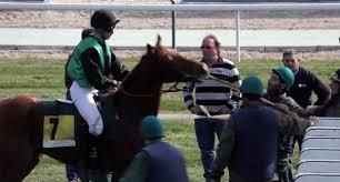 Caballo y jinete preparándose para la carrera | Foto: Hipódromo de la Zarzuela