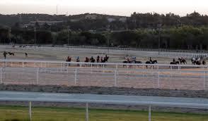 Caballos preparándose en el hipódromo | Foto: Hipódromo de la Zarzuela