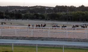 Caballos preparándose en el hipódromo | Foto: Hipódromo de la Zarzuela