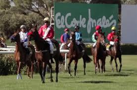 Preparándose para la carrera | Foto: Hipódromo de la Zarzuela