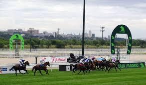 Carreras en Hipódromo de la Zarzuela