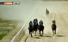 Carreras en Hipódromo de Antela (Ourense)
