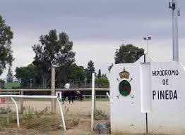 Zona hípica del Real Club Pineda de Sevilla | Foto: Carlosrs