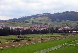 Hipódromo Lasarte (Donostia-San Sebastian) | Foto: juanr odriguez