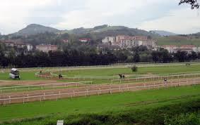 Hipódromo Lasarte (Donostia-San Sebastian) | Foto:Javier Martinez