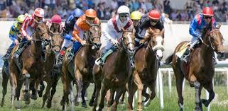 Carreras en Hipódromo de La Zarzuela | Foto: hipodromodelazarzuela.es