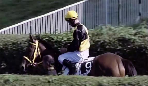 Caballo y jinete preparándose para la carrera | Foto: hipodromoa.com