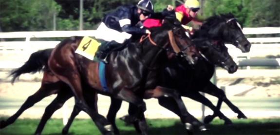 Carreras en Hipódromo de La Zarzuela | Foto: hipodromodelazarzuela.es