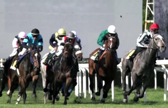 Carreras en Hipódromo de La Zarzuela | Foto: hipodromodelazarzuela.es