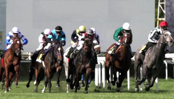 Carreras en Hipódromo de La Zarzuela | Foto: hipodromodelazarzuela.es