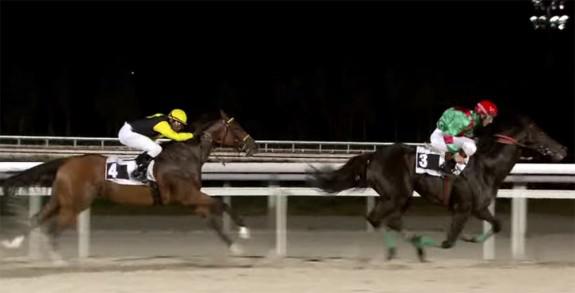 Carreras en Hipódromo de La Zarzuela | Foto: hipodromodelazarzuela.es