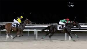 Carreras en Hipódromo de La Zarzuela | Foto: hipodromodelazarzuela.es