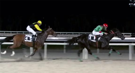 Carreras en Hipódromo de La Zarzuela | Foto: hipodromodelazarzuela.es