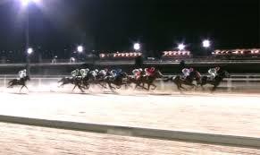 Carreras en Hipódromo de La Zarzuela | Foto: hipodromodelazarzuela.es
