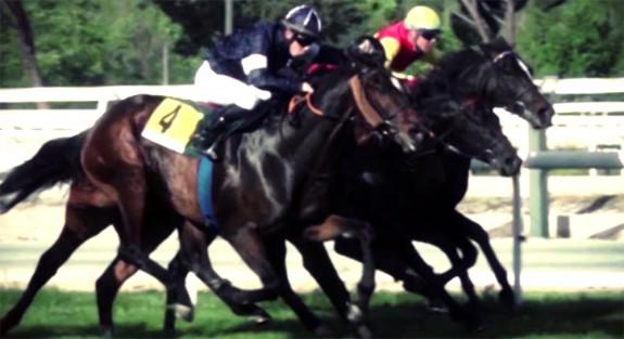 Carreras en Hipódromo de La Zarzuela | Foto: hipodromodelazarzuela.es