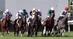 Carreras en Hipódromo de La Zarzuela | Foto: hipodromodelazarzuela.es