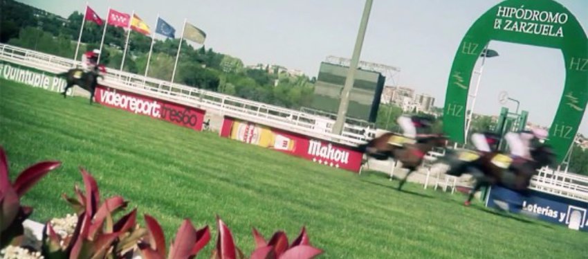 Carreras de Galope Hipódromo de la Zarzuela (Madrid) | Foto: CG