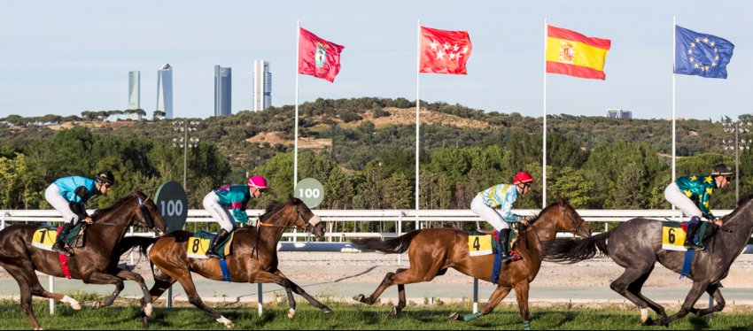 Hipódromo de la Zarzuela, en Madrid. Foto: Hipódromo de la Zarzuela.