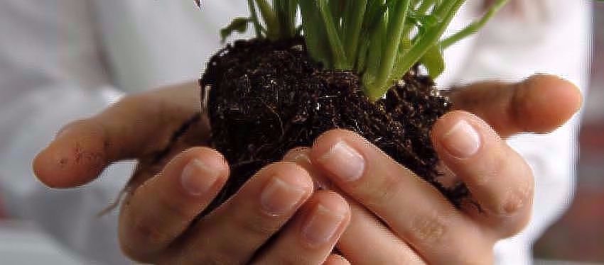 Día de la tierra 2017: Tierra ofrece una esperanza para un mejor mañana