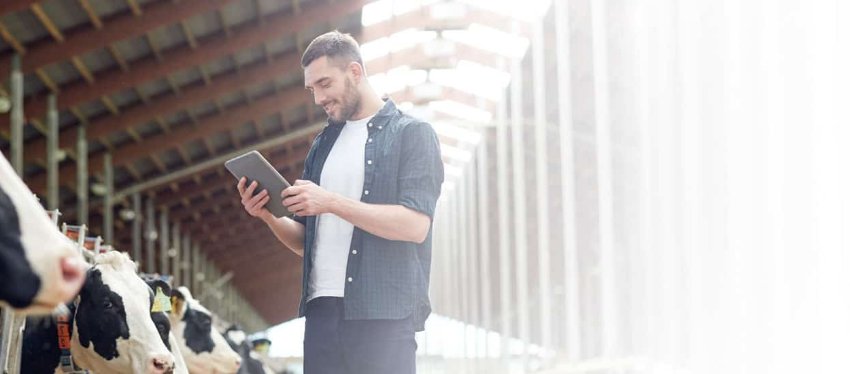 Beneficios del Software de Análisis de Ganado