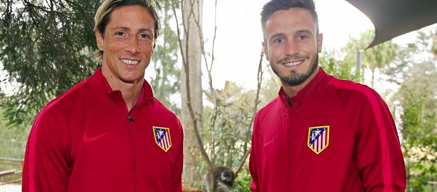 Fernando Torres y Saúl Níguez en el zoo de Melbourne | Foto: @Atletic